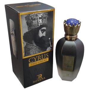 ادوپرفیوم مردانه روونا مدل Cyrus حجم 100 میلی‌لیتر - تصویر 5