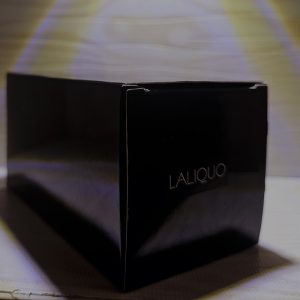 ادو پرفیوم مردانه لالیکو مدل دیور ساواج الکسیر با رایحه خنک حجم 60 میلی لیتر - تصویر 5