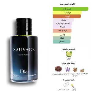 ادو پرفیوم مردانه نیفتی مدل ساواج دیور حجم 60 میلی لیتر - تصویر 5